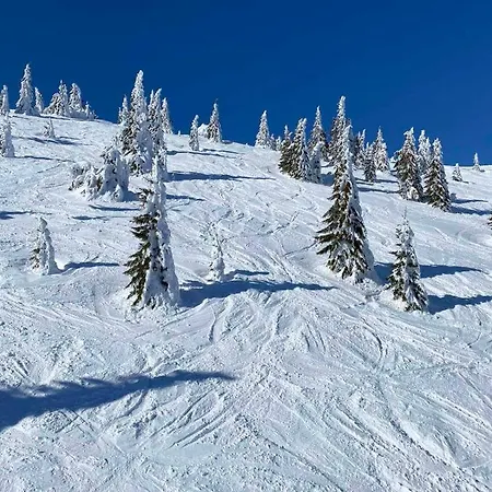 Srna Milmari * Kopaonik