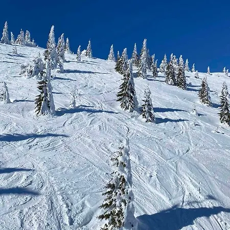 Апартаменты Srna Milmari Копаоник