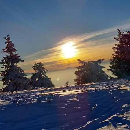 Апартаменты Srna Milmari *