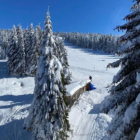 Апартаменты Srna Milmari *