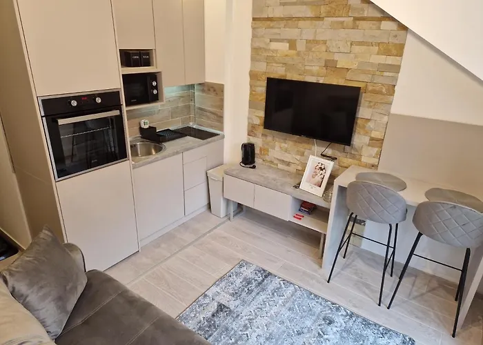 Srna Milmari 科帕奥尼克