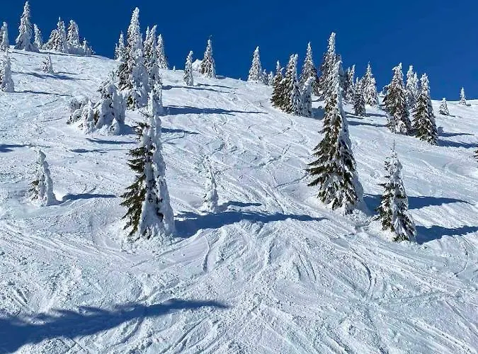 Srna Milmari * 科帕奥尼克