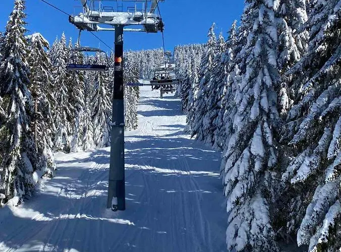 Srna Milmari 公寓 *