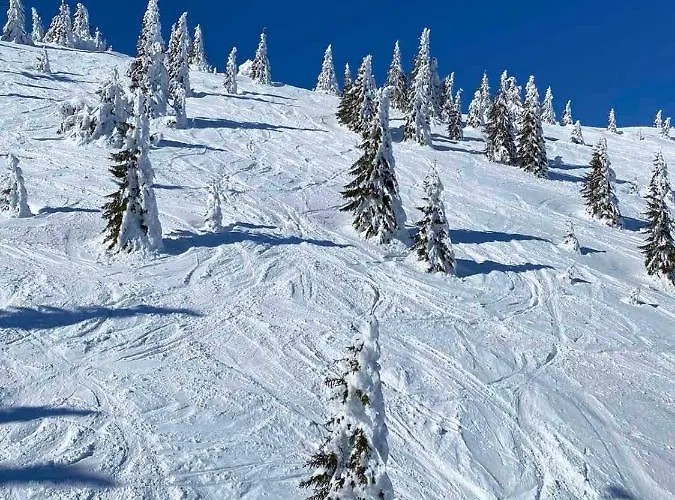 公寓 Srna Milmari 科帕奥尼克