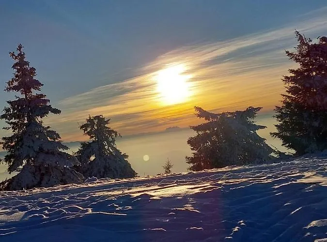 公寓 Srna Milmari *