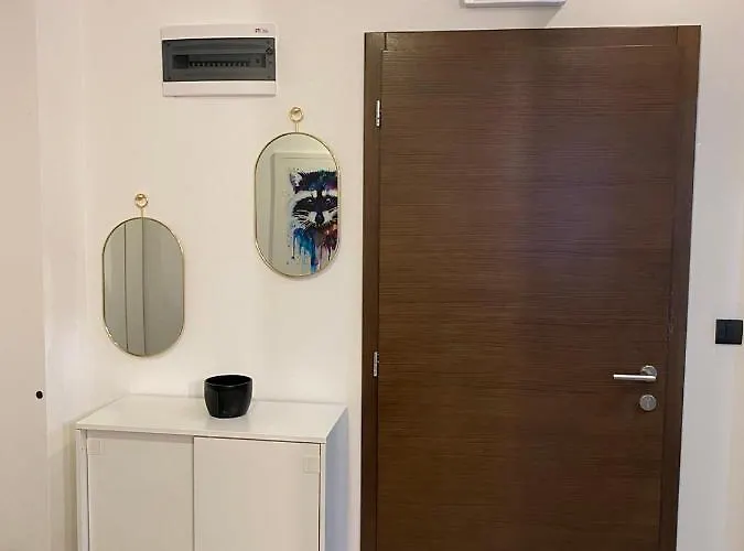 Srna Milmari 科帕奥尼克