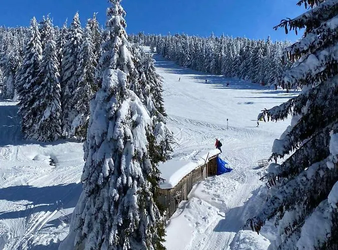 公寓 Srna Milmari *