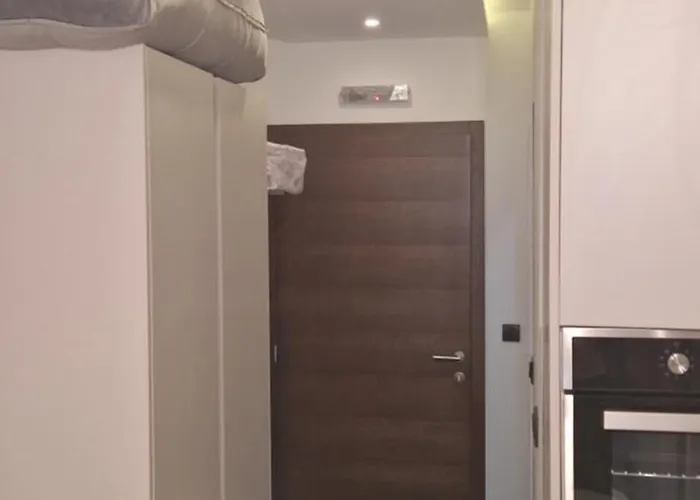 Srna Milmari * 科帕奥尼克