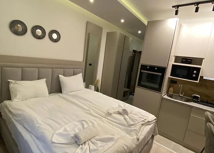 公寓 Srna Milmari 科帕奥尼克