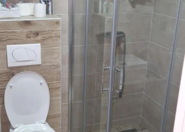 公寓 Srna Milmari 科帕奥尼克