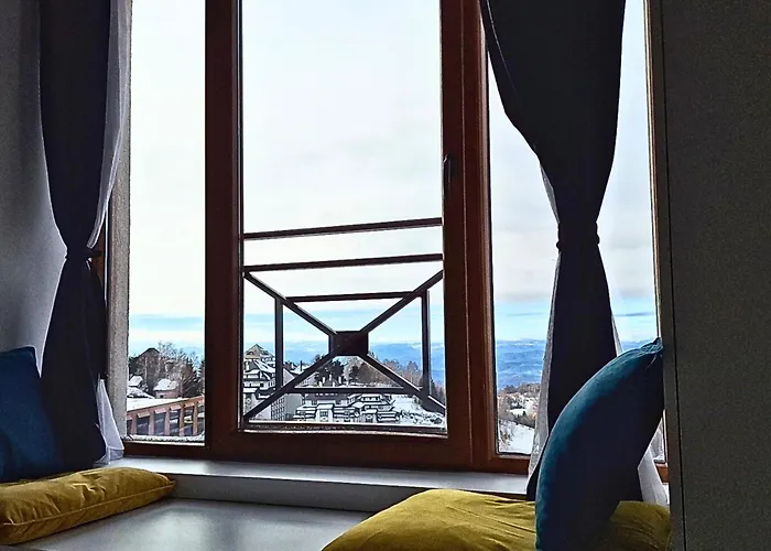 公寓 Srna Milmari 科帕奥尼克