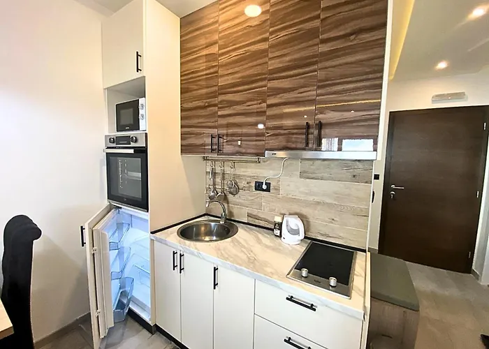 Srna Milmari 公寓 *