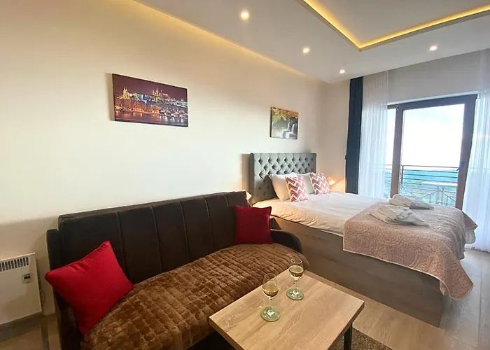 Srna Milmari 公寓 科帕奥尼克